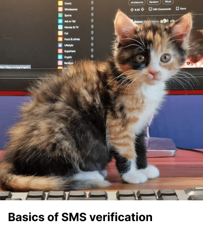 SMS verification via temporary numbers